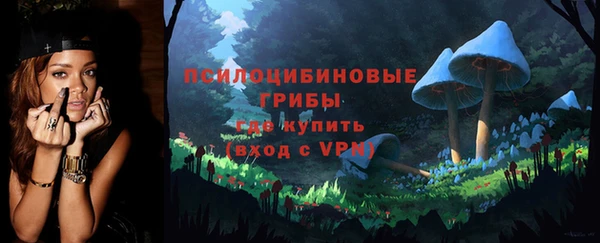 прущие крисы Каменка