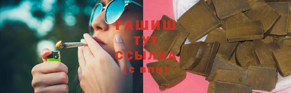 индика Абаза