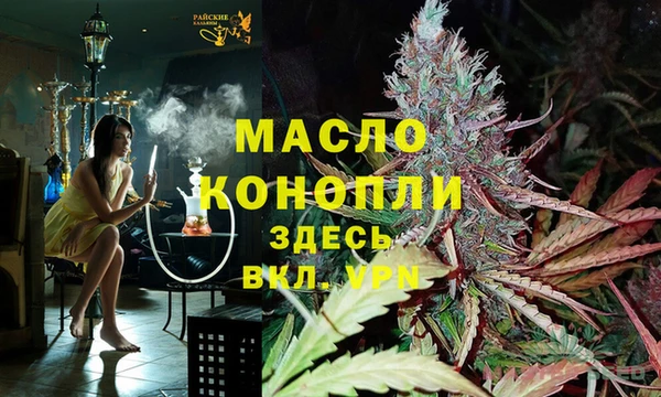 индика Абаза