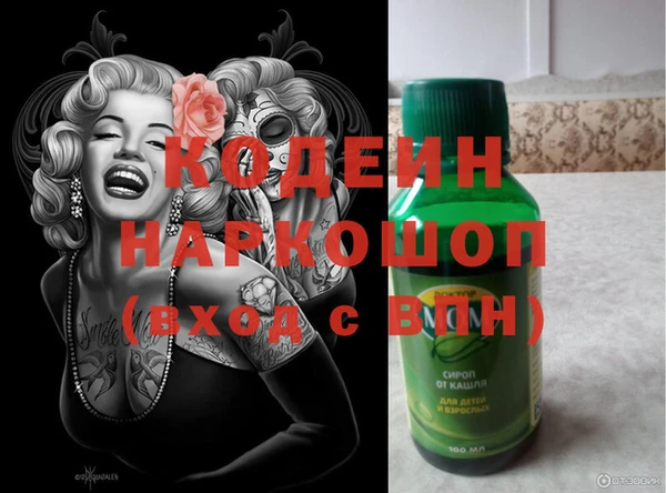 индика Абаза