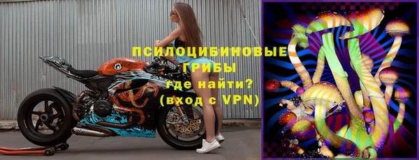 индика Абаза