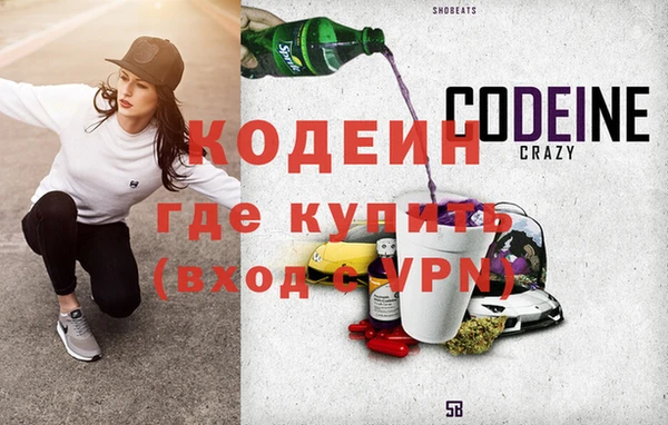 индика Абаза