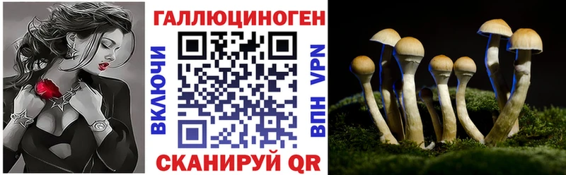 hydra онион Туран Галлюциногенные грибы прущие грибы