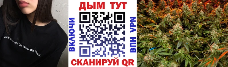 Каннабис сатива  Туран 